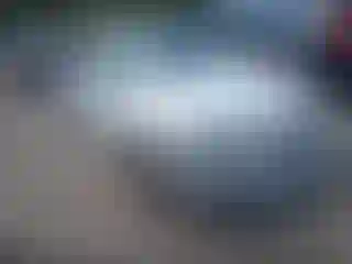 Vehicle Image- 2016 BMW Seria 3