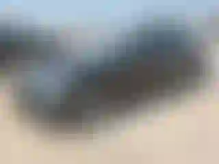 Vehicle Image- 2016 BMW Seria 3