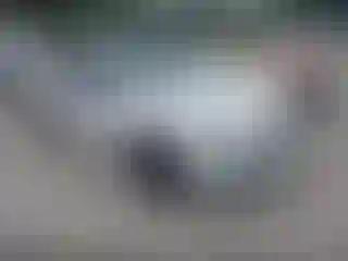 Vehicle Image- 2016 BMW Seria 3