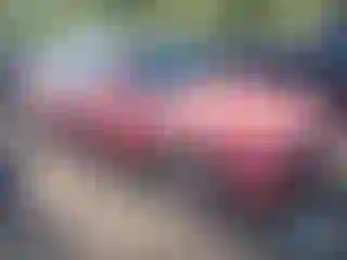 Vehicle Image- 1989 BMW Seria 3