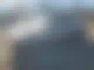 Vehicle Image- 1989 BMW Seria 3