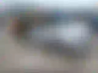 Vehicle Image- 2001 BMW Seria 3
