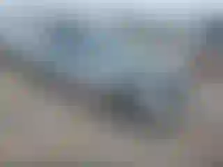 Vehicle Image- 2001 BMW Seria 3