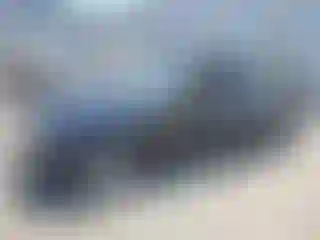 Vehicle Image- 2005 BMW Seria 3