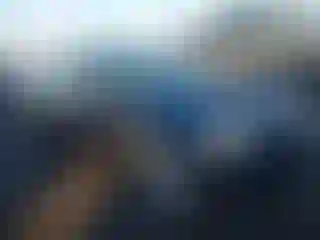 Vehicle Image- 2005 BMW Seria 3