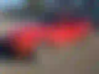 Vehicle Image- 1994 BMW Seria 3