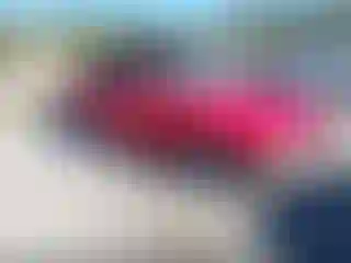 Vehicle Image- 1999 BMW Seria 3