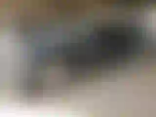 Vehicle Image- 2004 BMW Seria 3