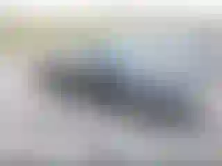 Vehicle Image- 2006 BMW Seria 3