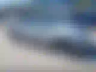 Vehicle Image- 2004 BMW Seria 3