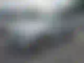 Vehicle Image- 2006 BMW Seria 3