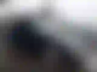 Vehicle Image- 2005 BMW Seria 3