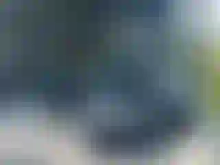 Vehicle Image- 2005 BMW Seria 3