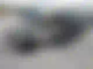 Vehicle Image- 2005 BMW Seria 3