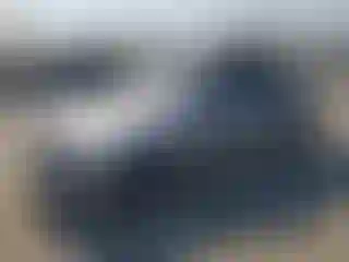 Vehicle Image- 2006 BMW Seria 3
