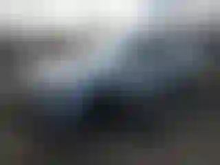 Vehicle Image- 2002 BMW Seria 5