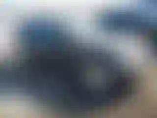 Vehicle Image- 2004 BMW Seria 3