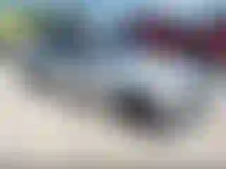 Vehicle Image- 2004 BMW Seria 3