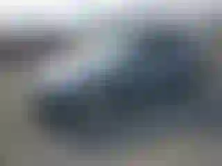 Vehicle Image- 2004 BMW Seria 3
