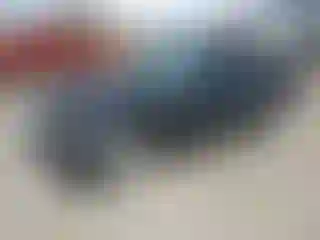 Vehicle Image- 2004 BMW Seria 3