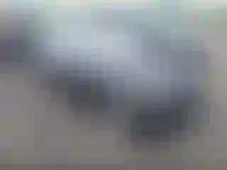 Vehicle Image- 2004 BMW Seria 3