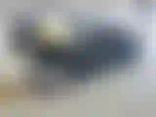 Vehicle Image- 2005 BMW Seria 3