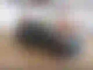 Vehicle Image- 2003 BMW Seria 3