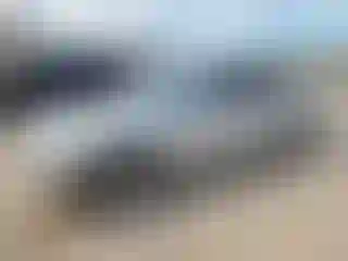 Vehicle Image- 2001 BMW Seria 7