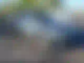 Vehicle Image- 2007 BMW Seria 7