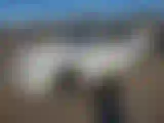 Vehicle Image- 2008 BMW Seria 7