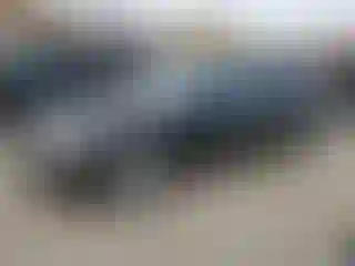 Vehicle Image- 2007 BMW Seria 7