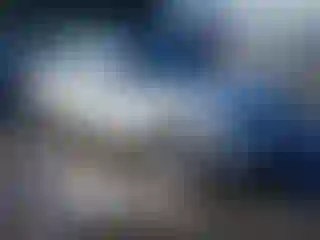 Vehicle Image- 2006 BMW Seria 7