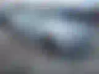 Vehicle Image- 2019 BMW Seria 5