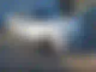 Vehicle Image- 2019 BMW Seria 5