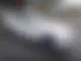 Vehicle Image- 2018 BMW Seria 5