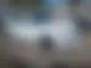 Vehicle Image- 2019 BMW Seria 5