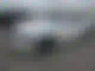 Vehicle Image- 2019 BMW Seria 5