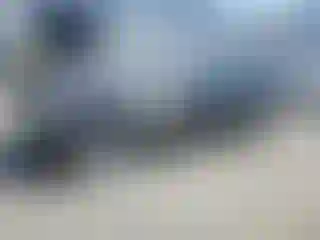 Vehicle Image- 2011 BMW Seria 7