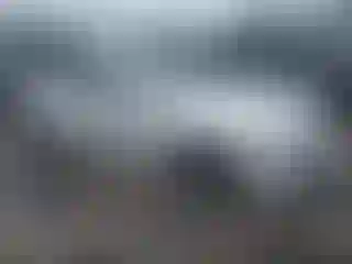 Vehicle Image- 2011 BMW Seria 7