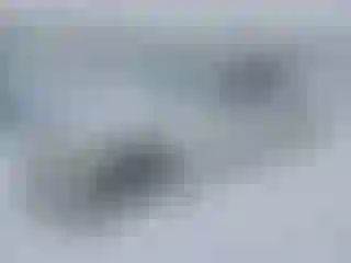 Vehicle Image- 2009 BMW Seria 7