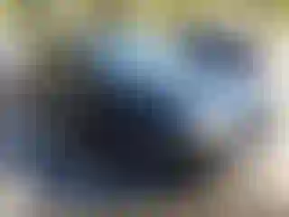 Vehicle Image- 2011 BMW Seria 7