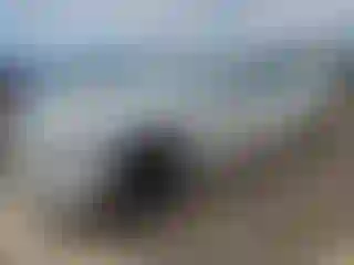 Vehicle Image- 2012 BMW Seria 7