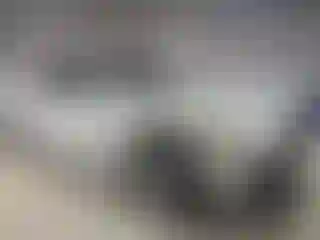 Vehicle Image- 2010 BMW Seria 7