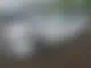 Vehicle Image- 2012 BMW Seria 7