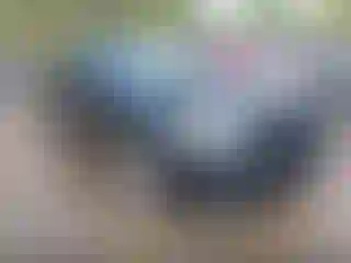 Vehicle Image- 2012 BMW Seria 7