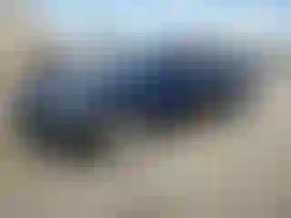 Vehicle Image- 2011 BMW Seria 3