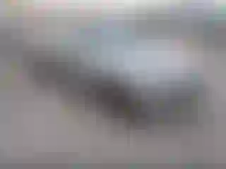 Vehicle Image- 2011 BMW Seria 3