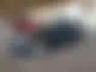 Vehicle Image- 2013 BMW Seria 3