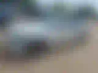 Vehicle Image- 2013 BMW Seria 3