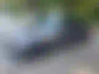 Vehicle Image- 2011 BMW Seria 3